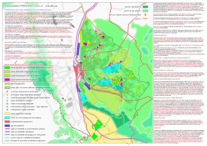 urbanistica-minervino murge-architetto locuratolo-BAT